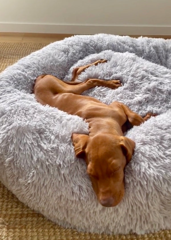 Rectangle Plush Winter Warm Bed.