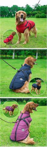 Dog winter Jacket With Harness