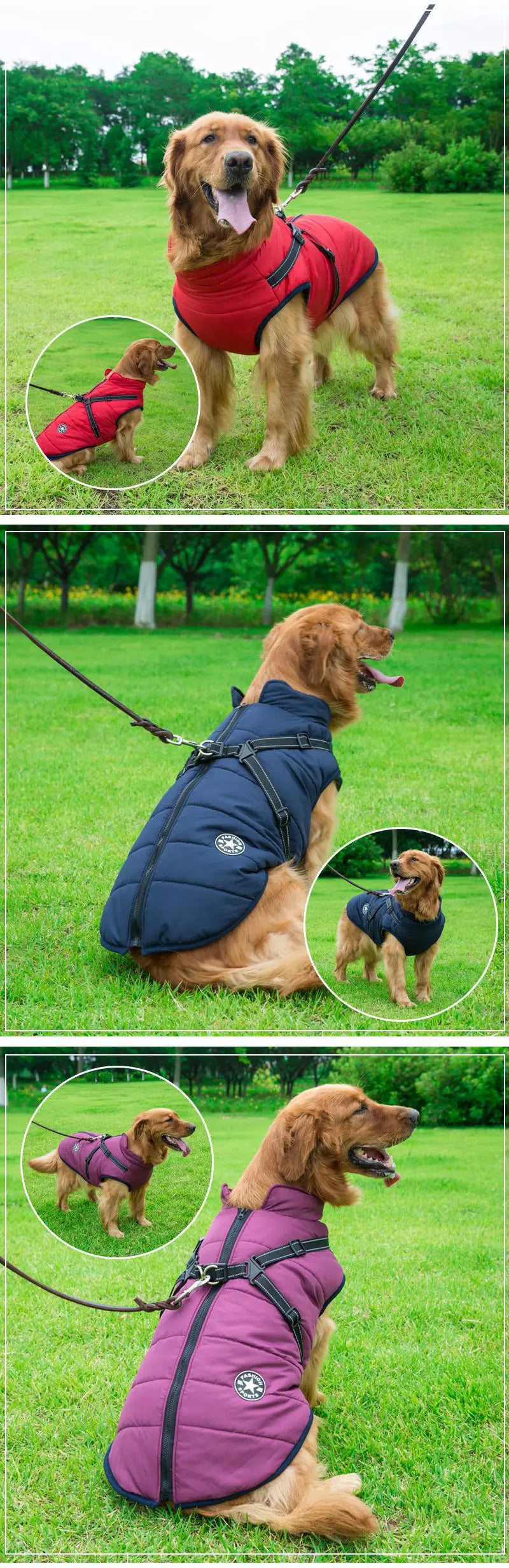 Dog winter Jacket With Harness