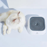 Drinking Water Bowl Floating Non-Wetting