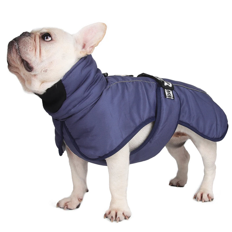 Big Dog Jacket Windproof Winter Warm