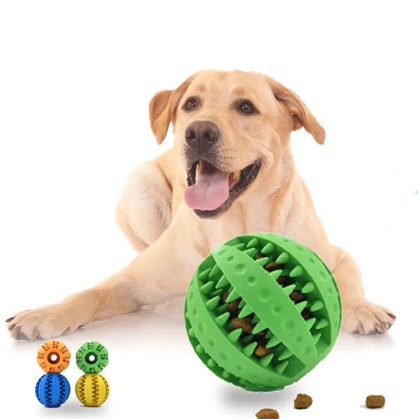 Silicone Ball Interactive Bite-resistant Chew Toy for Small Dogs - Pet Wonders