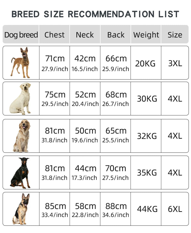 Big Dog Jacket Windproof Winter Warm