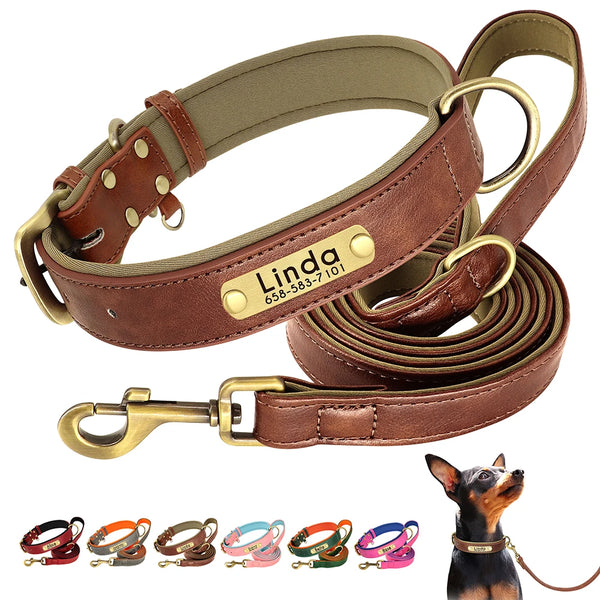 Customized Leather Soft Padded Leather Collar For Small Medium Large Dogs - Pet Wonders