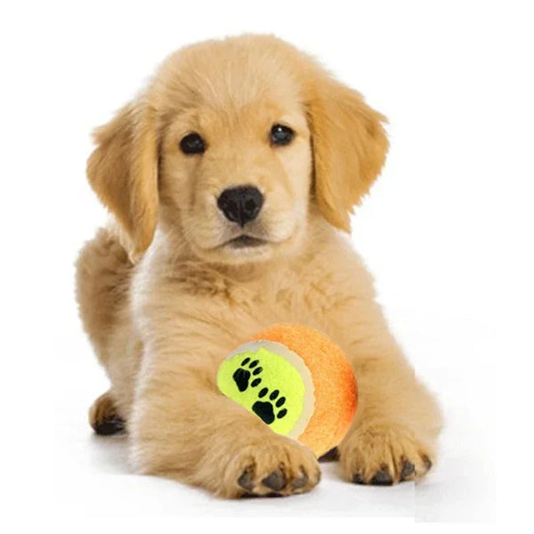 Tennis Dog Balls Throw Play Pet Puppy Toys For Dog's Training - Pet Wonders