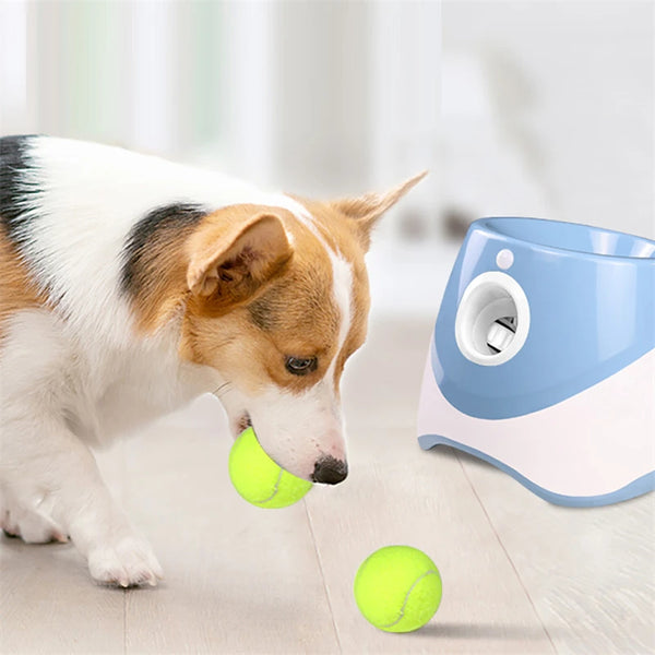 Dog Tennis Automatic Launcher For Pets  To Chase Toy - Pet Wonders