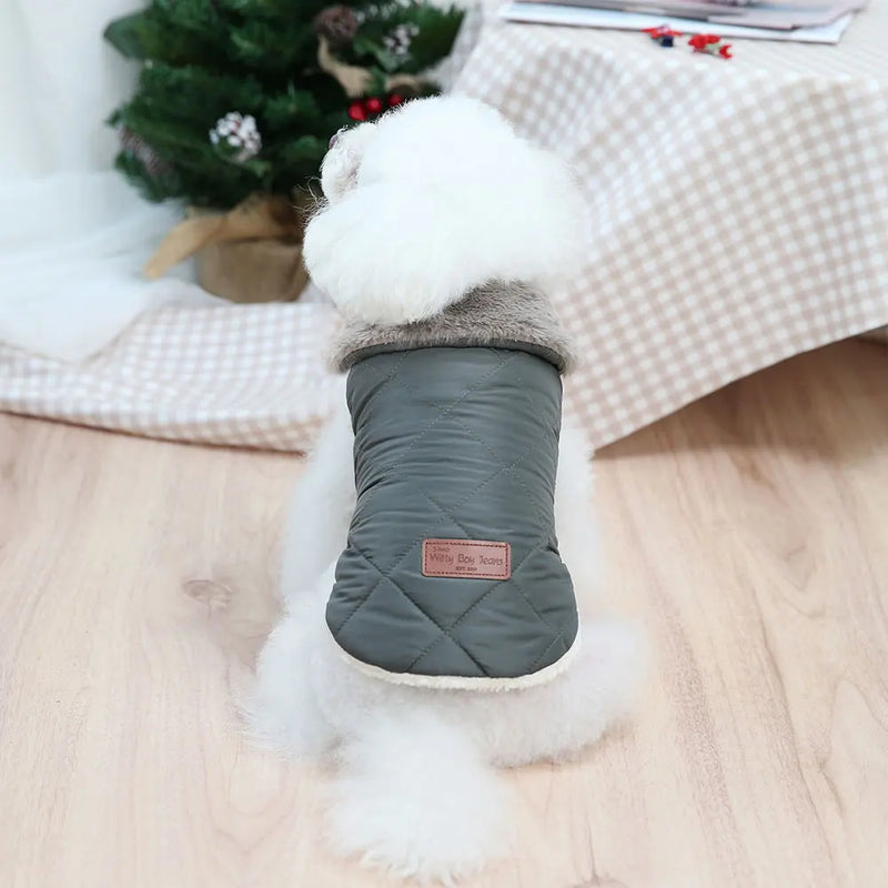 Warm Winter Fur Collar Small Dogs