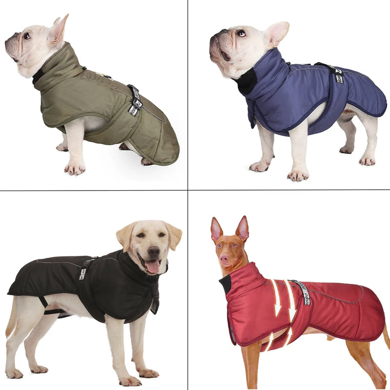 Big Dog Jacket Windproof Winter Warm