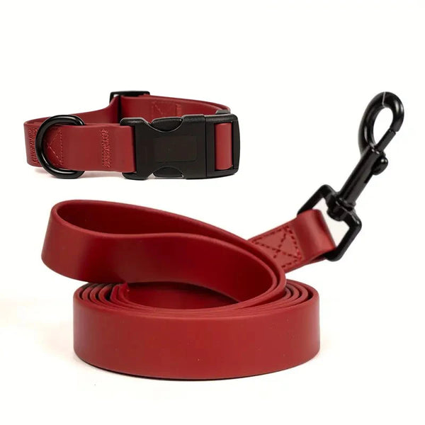 Adjustable PVC Waterproof Dog Collar & Leash Set