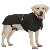 Big Dog Jacket Windproof Winter Warm