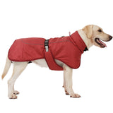 Big Dog Jacket Windproof Winter Warm