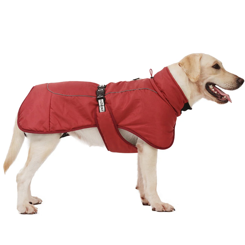 Big Dog Jacket Windproof Winter Warm