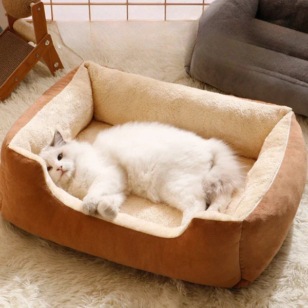 Cushions Kitten/ Cats/ Dogs/ Puppies Beds - Pet Wonders