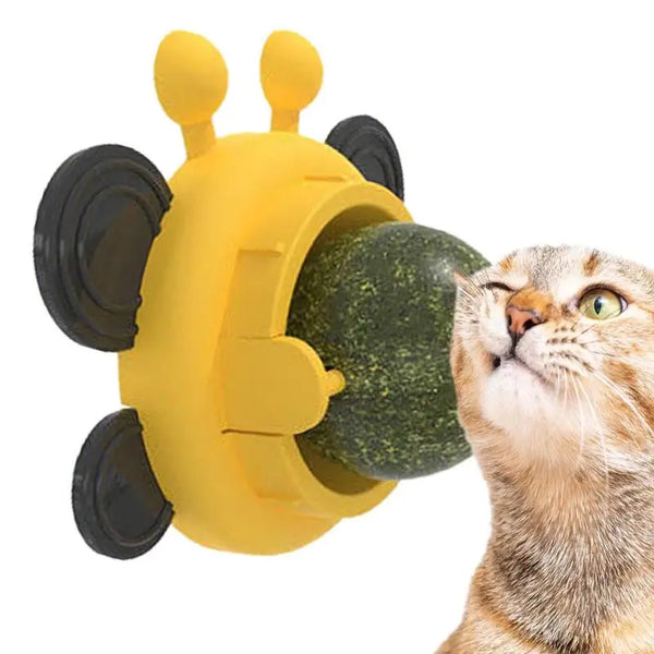 Catnip Wall Roller Safe And Healthy Cat Molar Catnip Ball - Pet Wonders