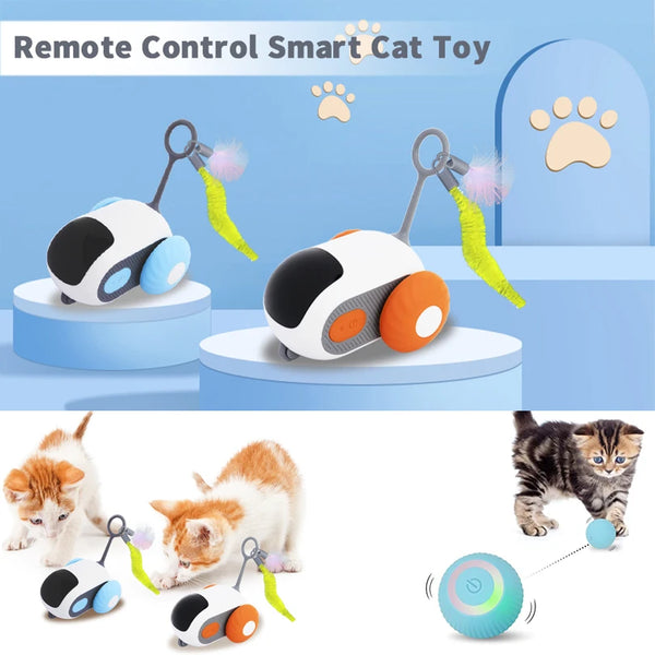 Smart Interactive Automatic Moving Remote Mouse Indoor Kitty Ball Toys - Pet Wonders