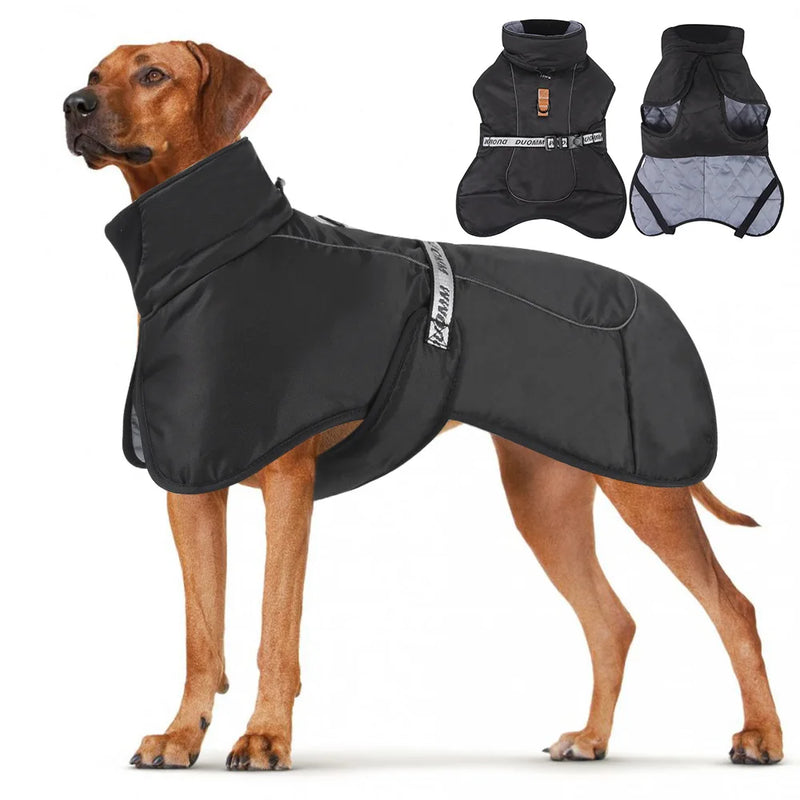 Big Dog Jacket Windproof Winter Warm