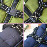 Dog winter Jacket With Harness