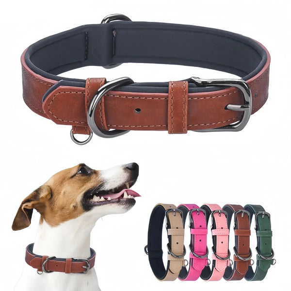 Adjustable Soft Padded Dog Collars