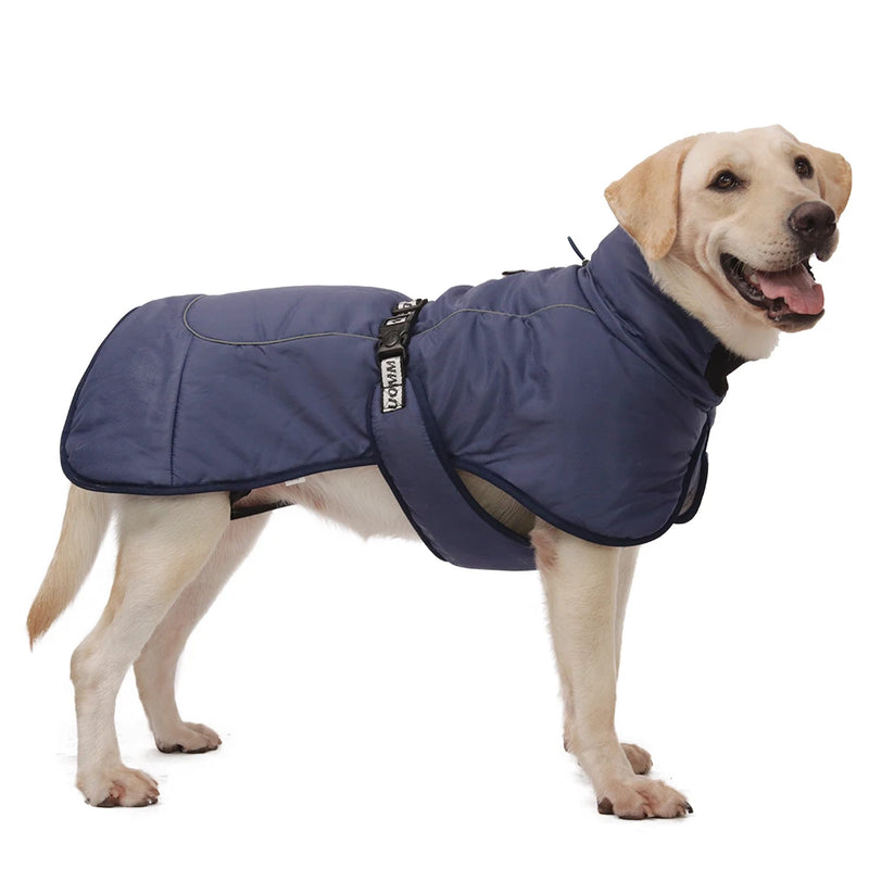 Big Dog Jacket Windproof Winter Warm