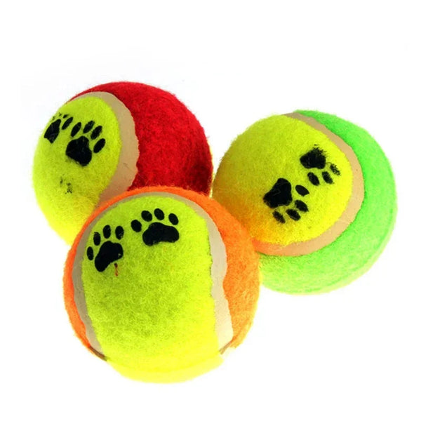 Tennis Dog Balls Throw Play Pet Puppy Toys For Dog's Training - Pet Wonders