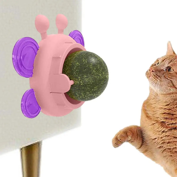 Catnip Wall Roller Safe And Healthy Cat Molar Catnip Ball - Pet Wonders