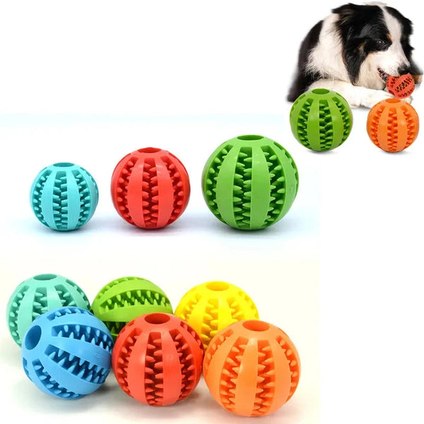 Silicone Ball Interactive Bite-resistant Chew Toy for Small Dogs - Pet Wonders