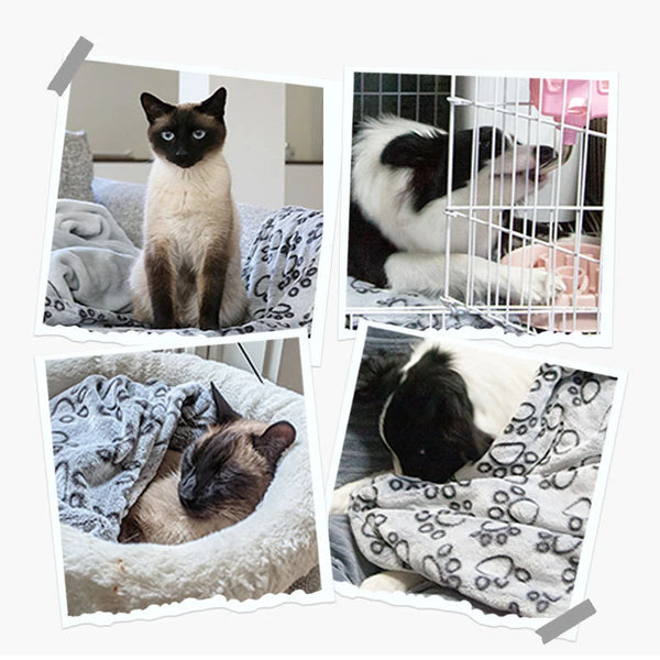 Pet Blanket Soft Fluffy Cute Cartoon Pattern Suitable For Cats And Dogs