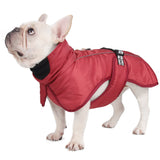 Big Dog Jacket Windproof Winter Warm