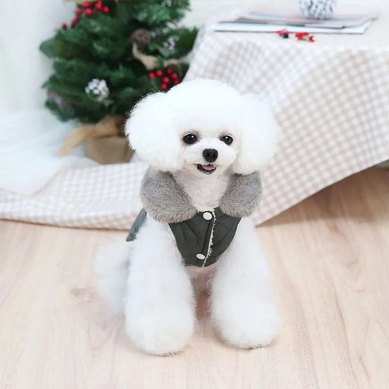 Warm Winter Fur Collar Small Dogs