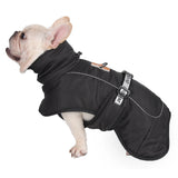 Big Dog Jacket Windproof Winter Warm