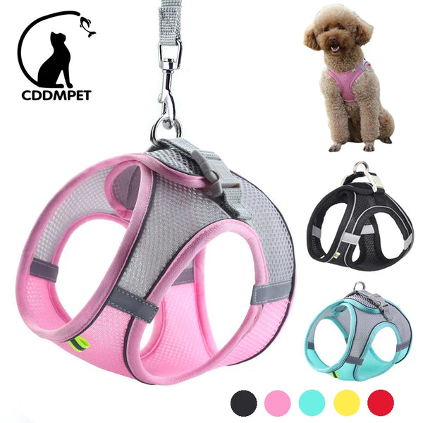 Dog Harness Leash Set