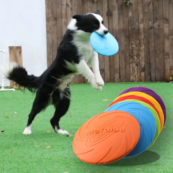 Multifunction Training Bite Resistant Flying Disc Toys For Pets & Puppy - Pet Wonders