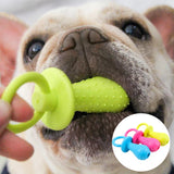 Toys For Small Dogs Indestructible Teeth Cleaning Chew Training - Pet Wonders