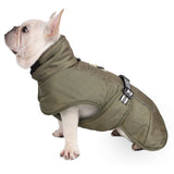 Big Dog Jacket Windproof Winter Warm