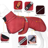 Big Dog Jacket Windproof Winter Warm